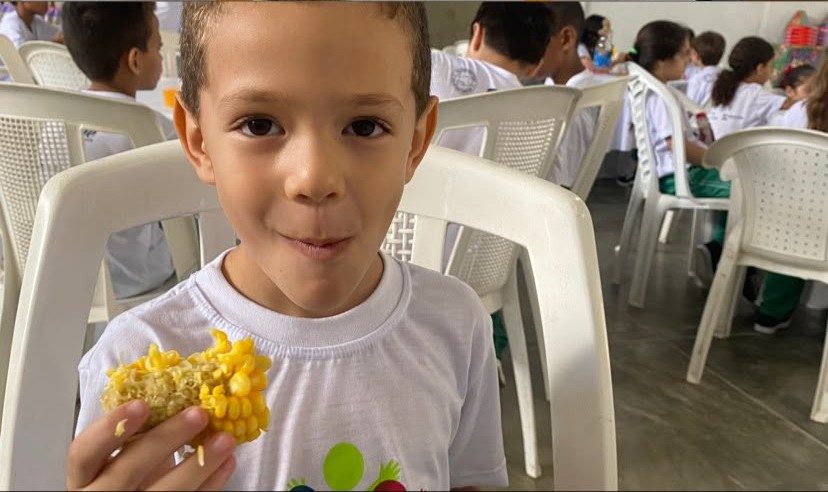 Projeto Pequeninos — foto 5